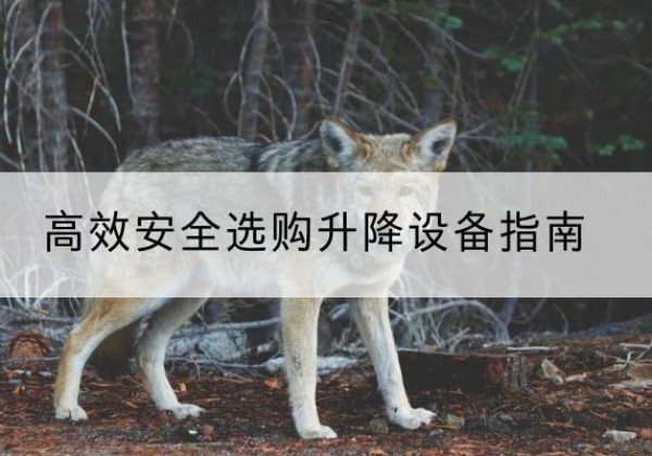 托克逊升降货梯厂家推荐-*安全选购升降设备指南