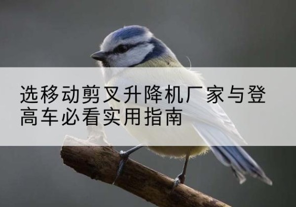 托克逊电动升降机厂家-选移动剪叉升降机厂家与登高车必看实用指南