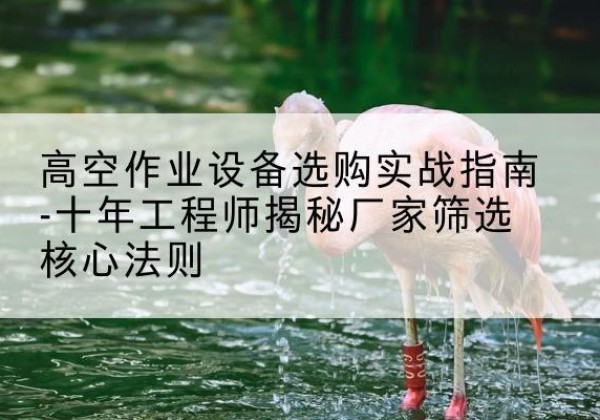 托克逊剪叉式升降机厂家-高空作业设备选购实战指南-十年工程师揭秘厂家筛选核心法则